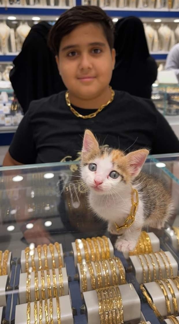 کودک عراقی برای گربه‌اش گردنبند طلا خرید! (+عکس)
