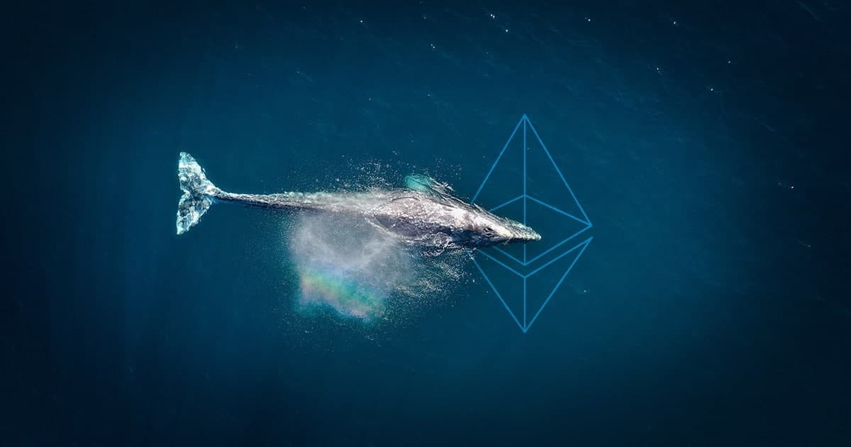 نهنگ‌ها در ۲۴ ساعت گذشته بیش از یک میلیارد دلار اتریوم جابجا کردند