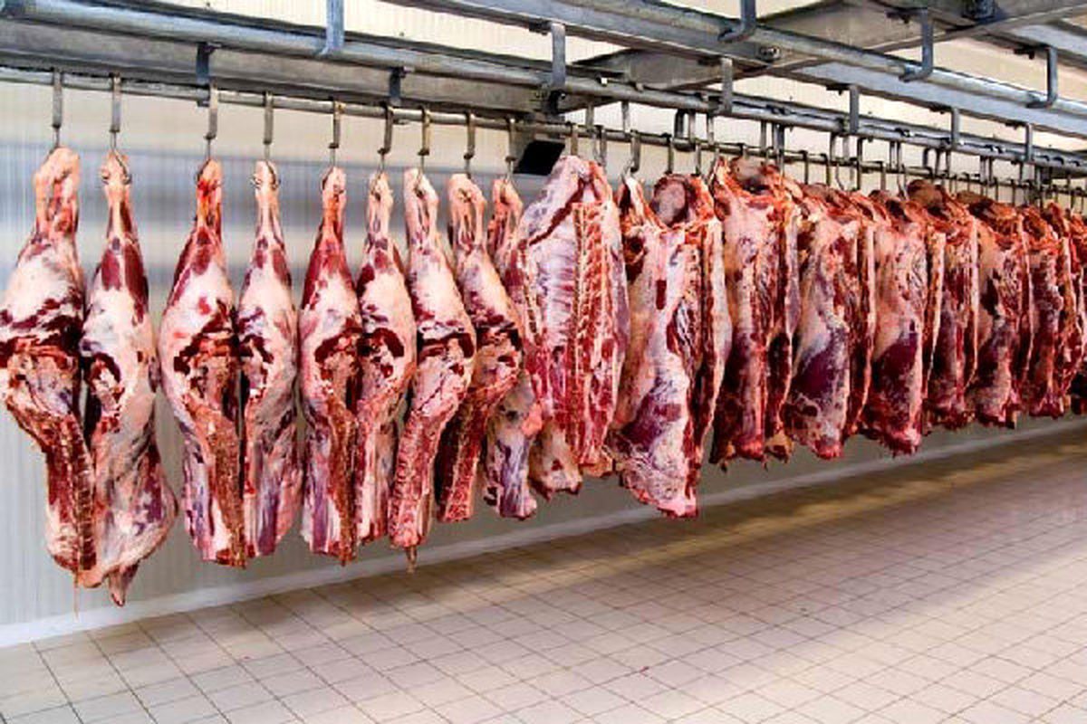 قیمت گوشت گوسفندی اعلام شد/ احتمال افزایش قیمت در نیمه دوم سال