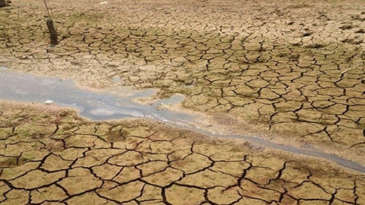 محقق کانادایی: خشکسالی در ایران ماهیتی انسان‌ ساخت دارد/ نمکی شدن خاک؛ خطرناک‌تر از کم‌آبی