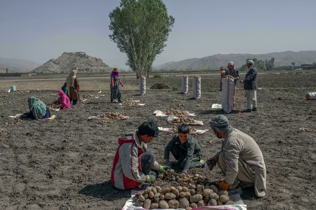 افغانستانِ طالبان؛ گرسنگی شدید میان هزاره‌های غارنشین بامیان/ چیزی برای خوردن وجود ندارد
