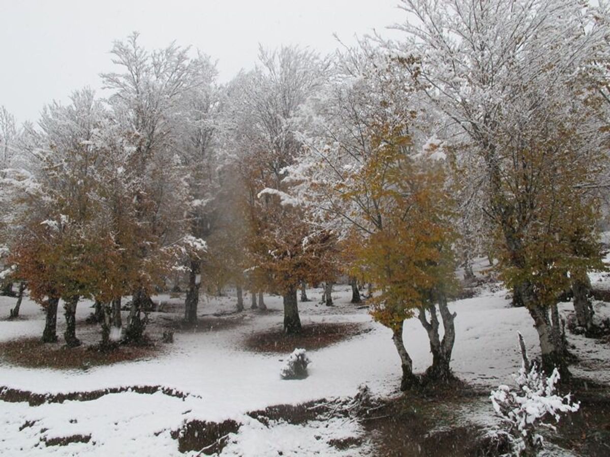 بارش نخستین برف پاییزی در خراسان شمالی