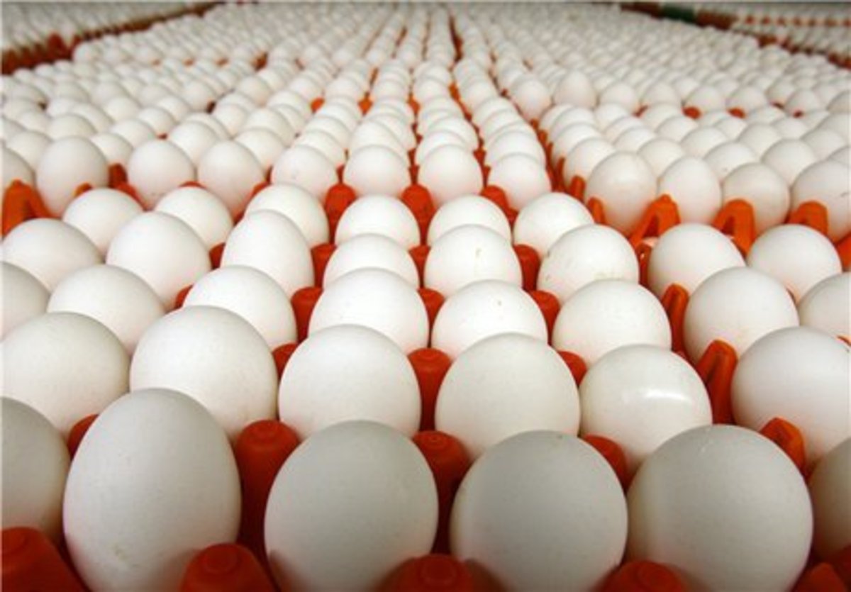 تخم مرغ ۶۵ هزار تومان؟