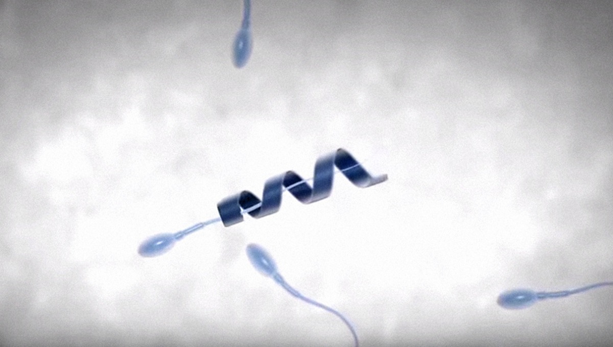 اسپرم ها و شنا به کمک یک نانو ربات برای درمان ناباروری (+فیلم و عکس)