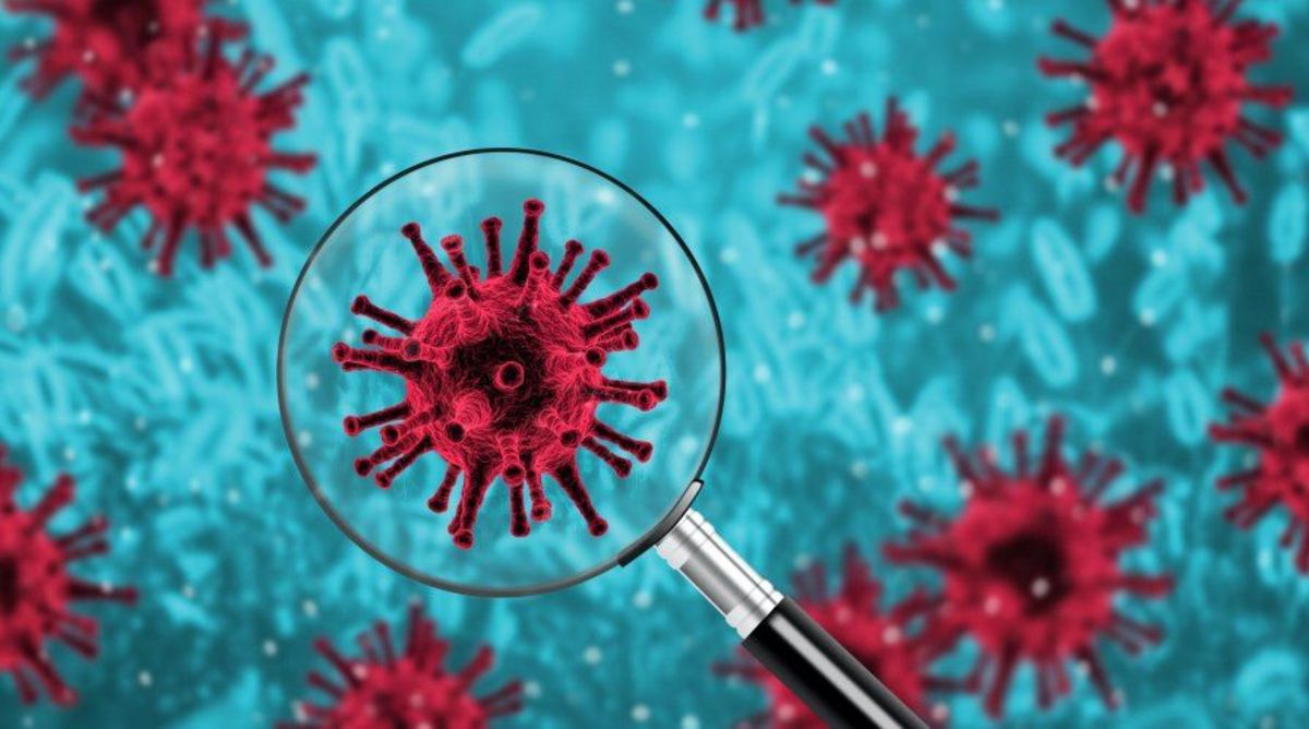 آخرین تلاش سازمان جهانی بهداشت برای کشف منشاء ویروس کرونا