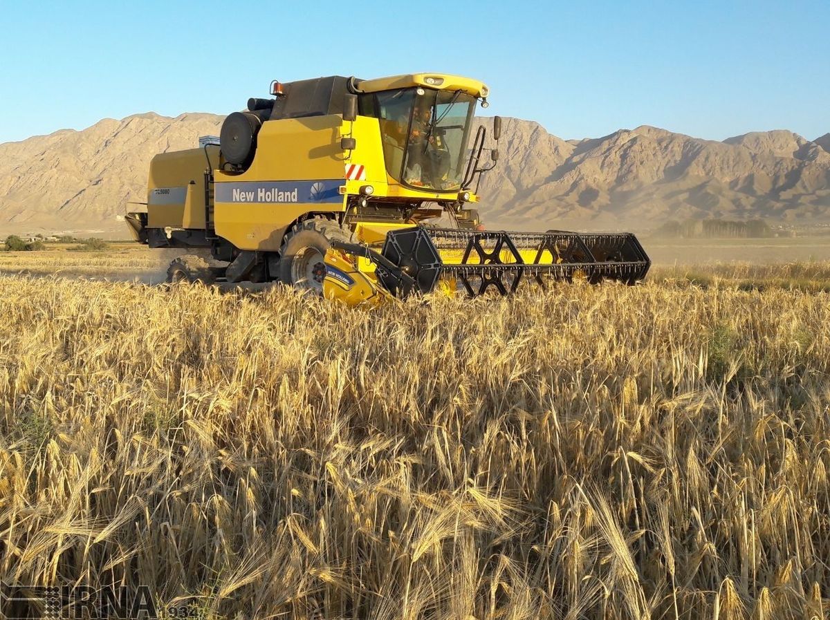 رویترز: فشار واردات 8 میلیون تن گندم به اقتصاد ایران