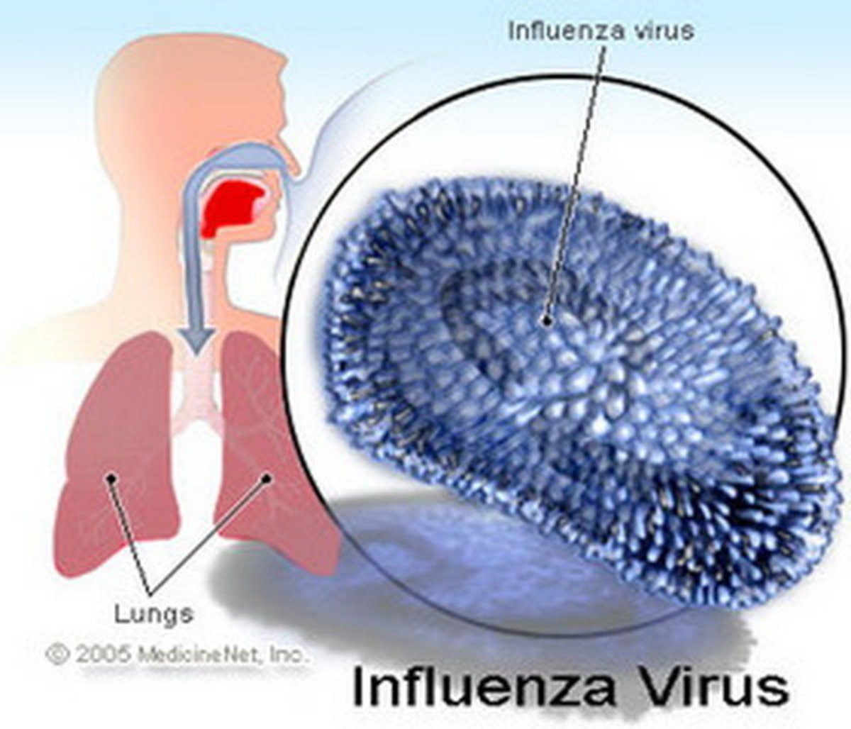 آنفلوآنزا هم مزمن می‌شود