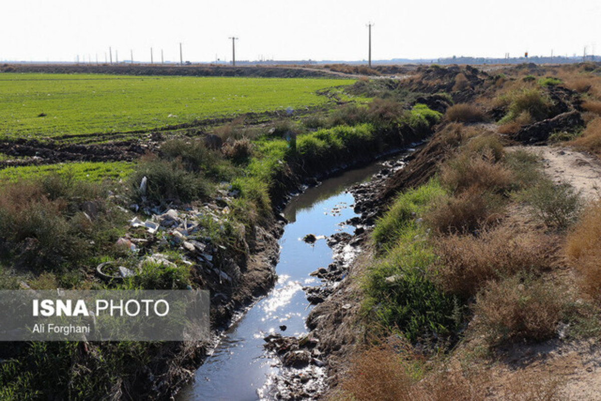 ورود کمیسیون اصل نود به پرونده کشت محصولات کشاورزی با آب‌های آلوده در تهران