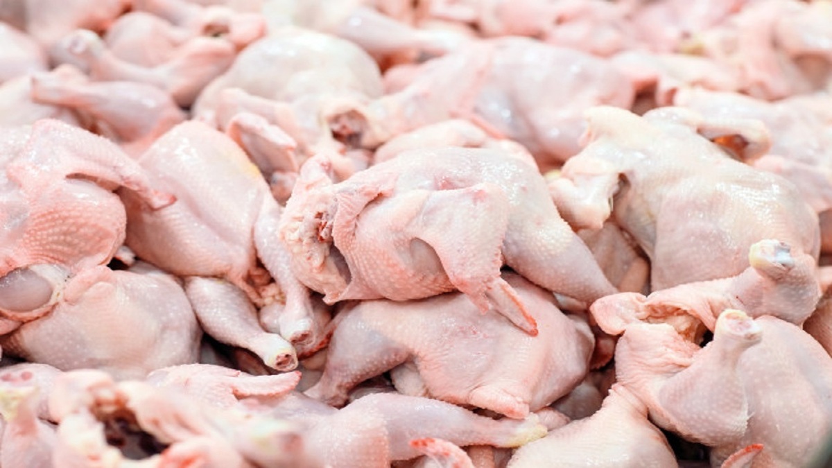 قیمت مرغ برای مصرف کننده؛ کیلویی ۳۱ هزار تومان (فیلم)