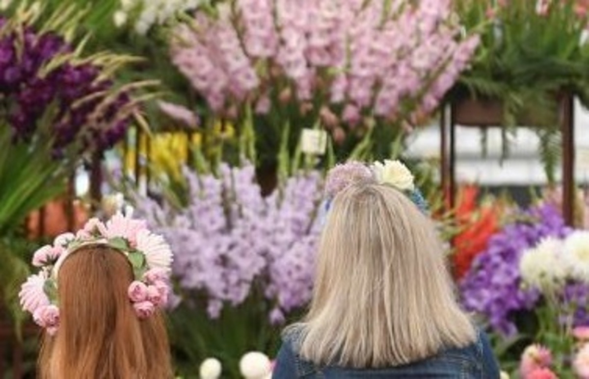 نمایشگاه گل چلسی در لندن (عکس)