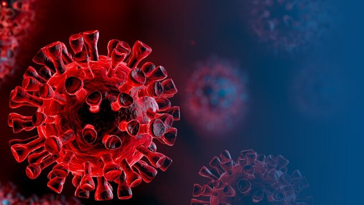 یک متخصص: احتمال بومی شدن ویروس کرونا وجود دارد
