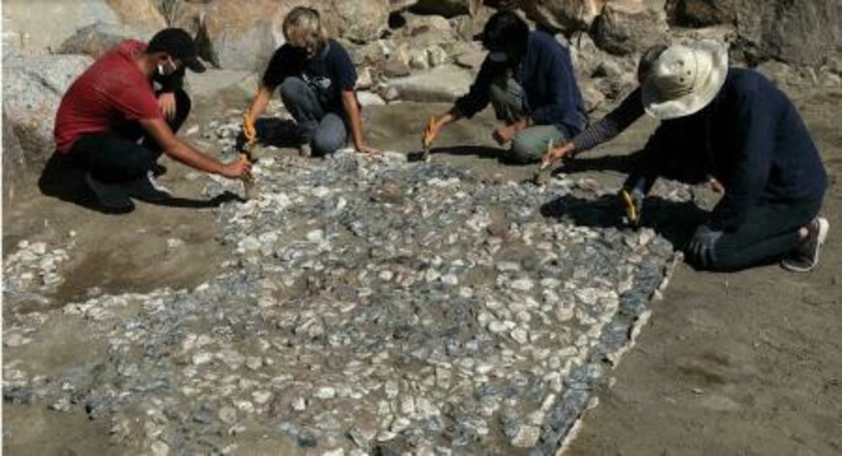 کشف جد سنگ‌فرش‌های مدیترانه‌ای در ترکیه