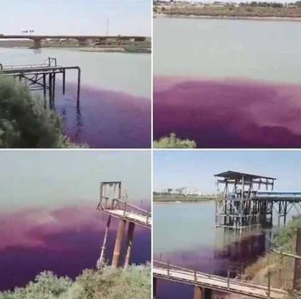 لکه ارغوانی رنگ در رودخانه کارون/ محیط زیست: شاخص آلودگی آب بالاتر از استاندارد را نشان نمی‌دهد