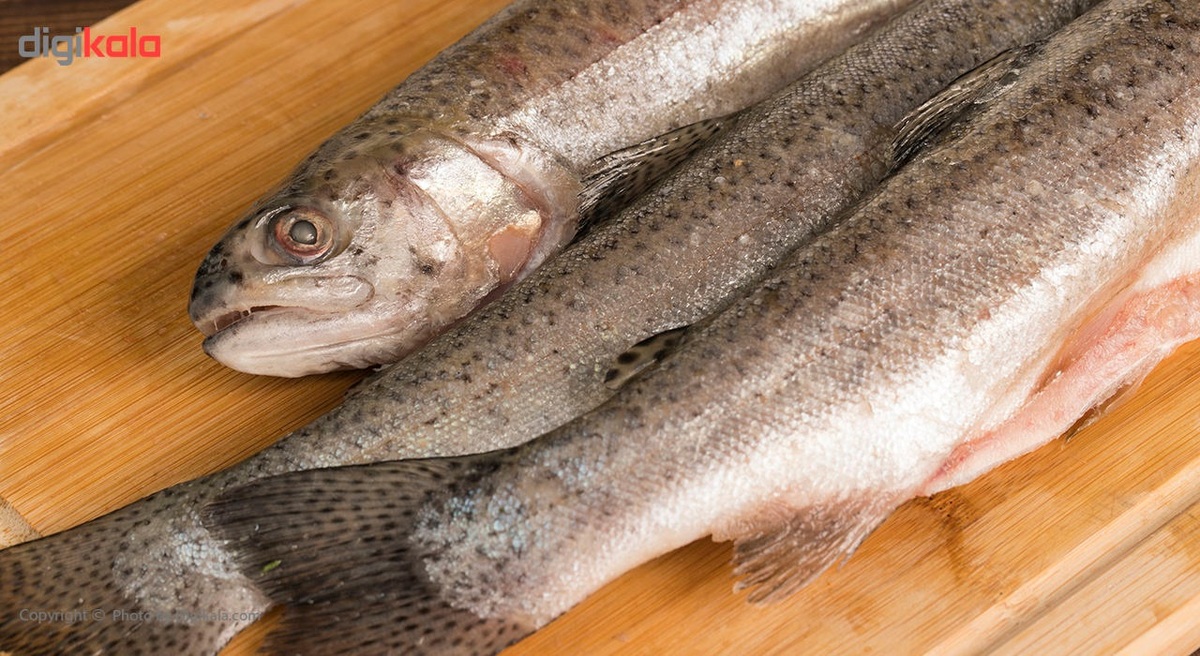 افزایش ۱۰۰ درصدی قیمت ماهی قزل آلا در بازار / کنسرو ماهی هم گران شد