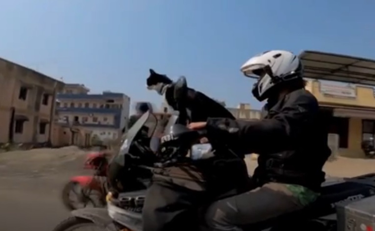 گربه موتورسواری که به دور دنیا سفر می‌کند (فیلم)