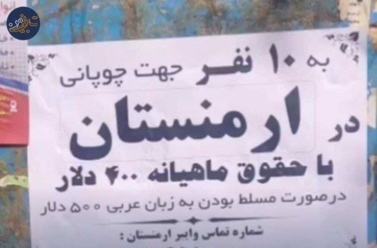 جزئیات استخدام چوپان ایرانی در ارمنستان/ حقوق ماهی 400 دلار، عربی بدانی 500