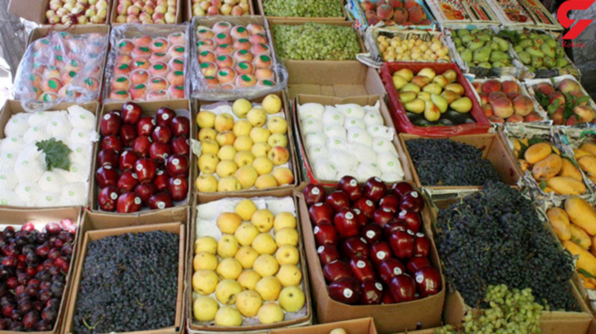 افزایش ۵۰ درصدی صادرات میوه ایران به روسیه