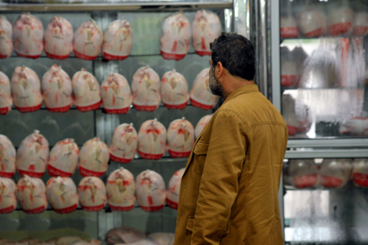کمبود مرغ و افزایش سرسام آور قیمت آن در مشهد/ یک کیلو سینه مرغ ۶۵ هزار تومان