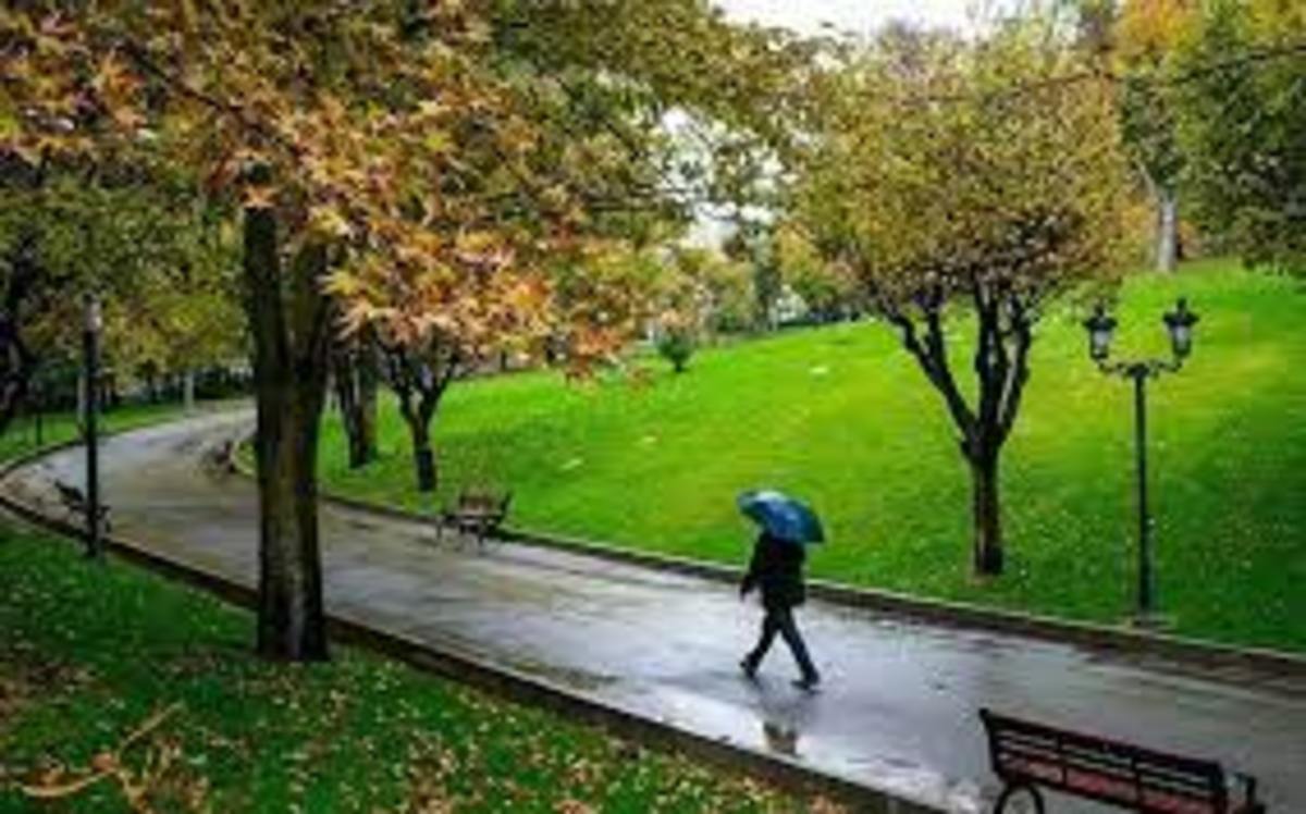 بارش باران در استان تهران از فردا جمعه