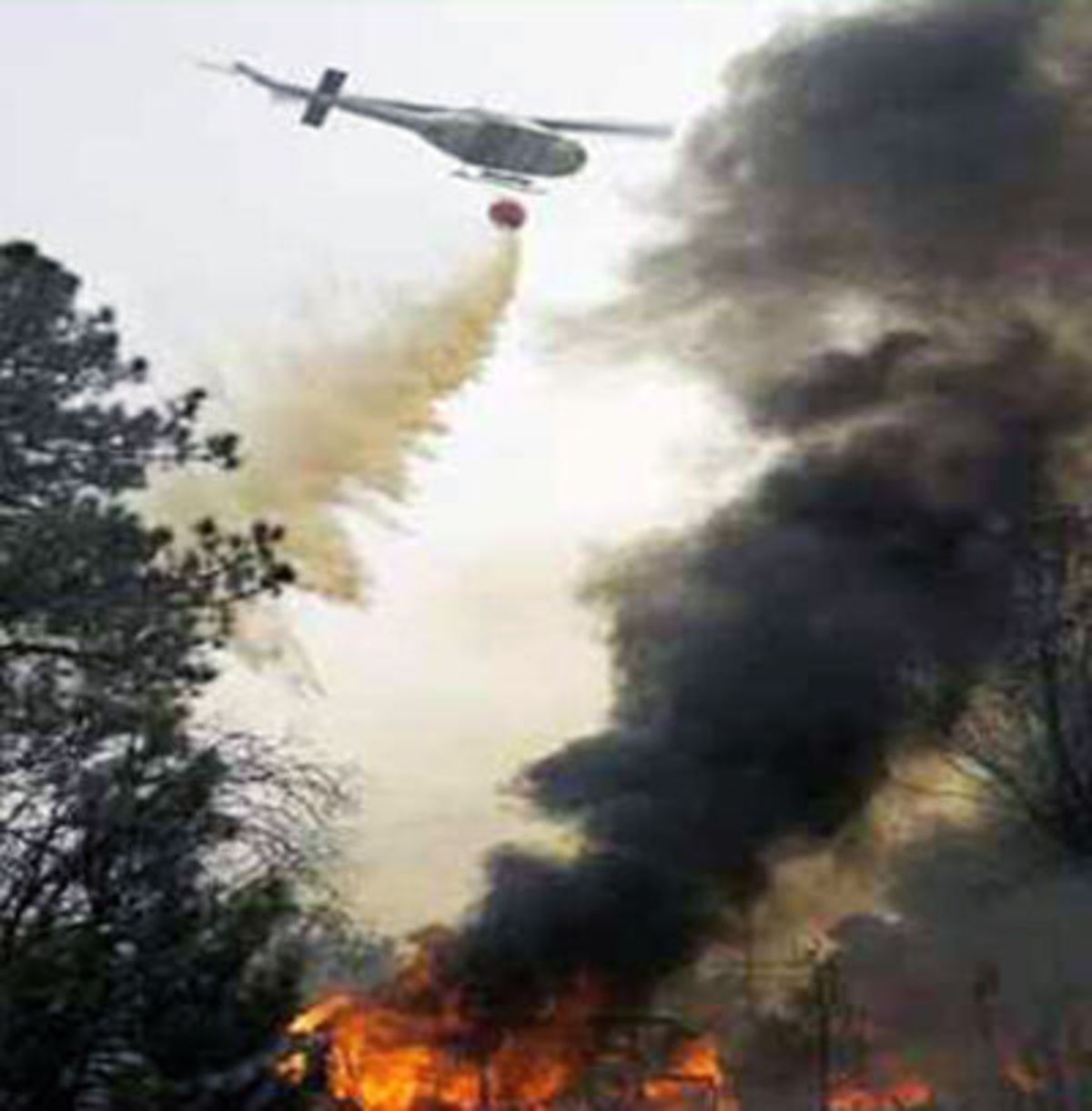 بکارگیری 2 فروند بالگرد برای مهار آتش در جنگل های چالوس