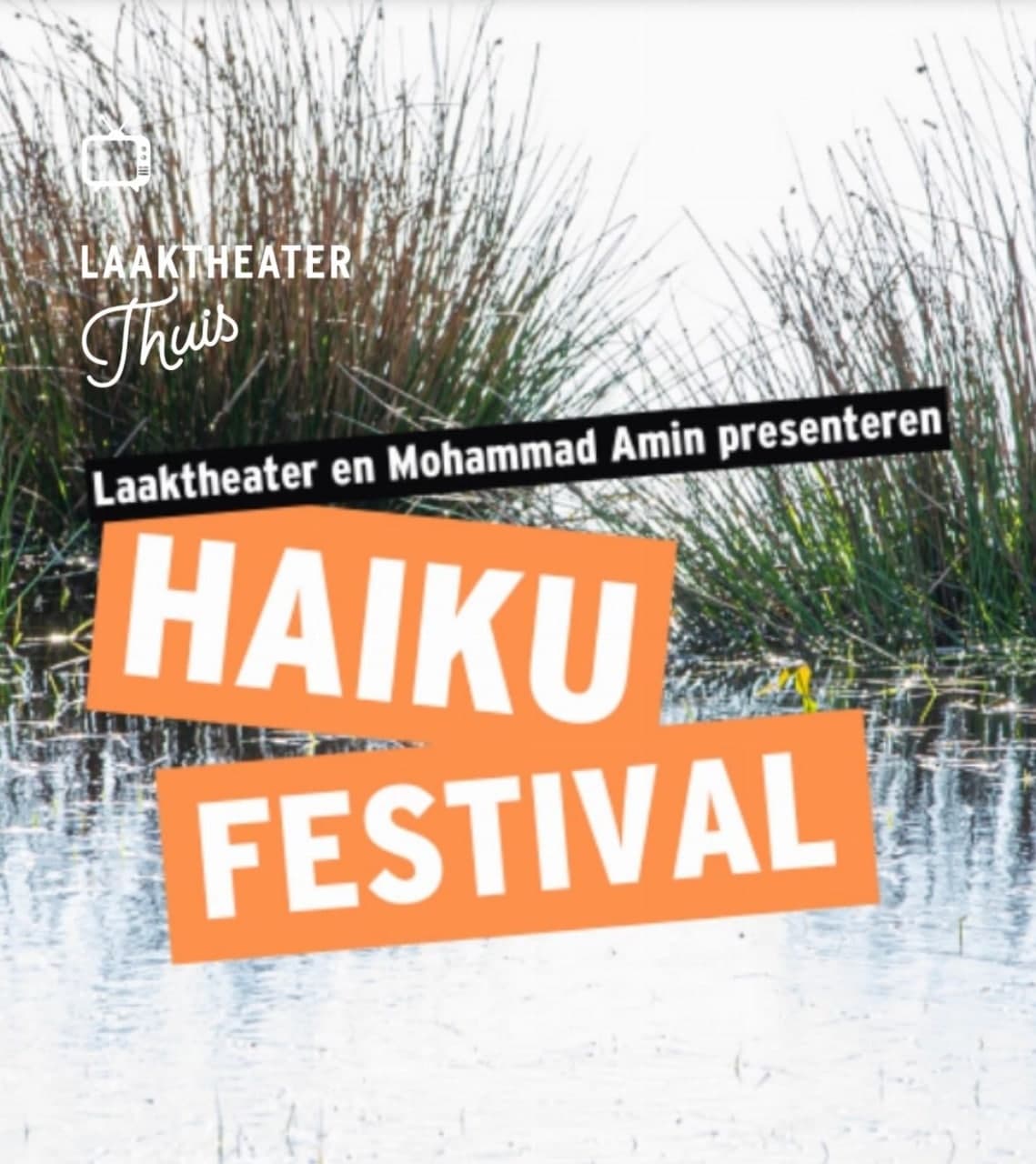 جشنواره «هایکو» هلند