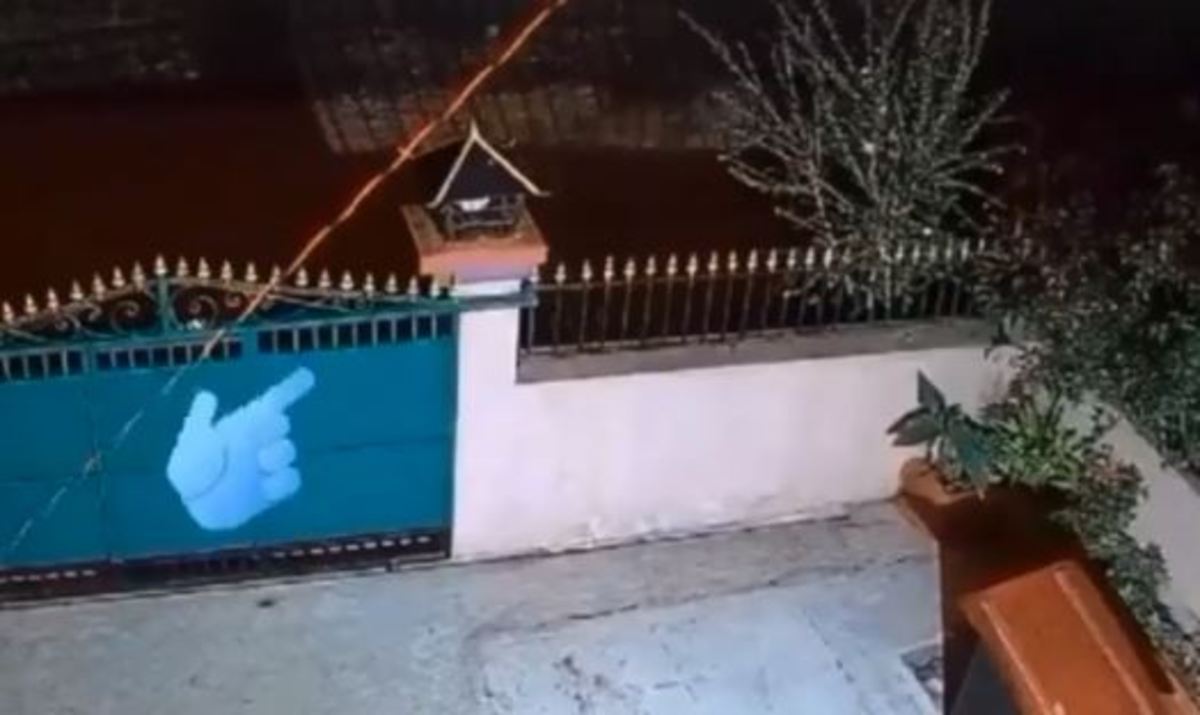 حمله مرگبار پلنگ به یک سگ و شکار او در حیاط خانه (فیلم)