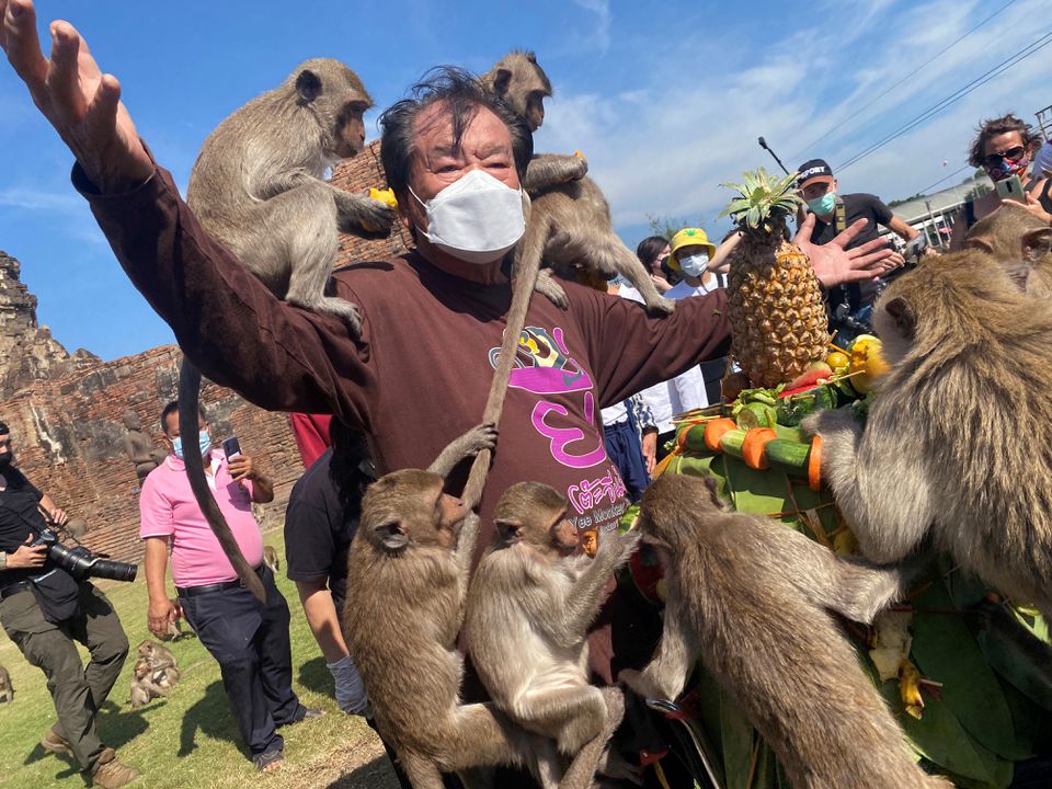 جشنواره میمون های تایلند (عکس)