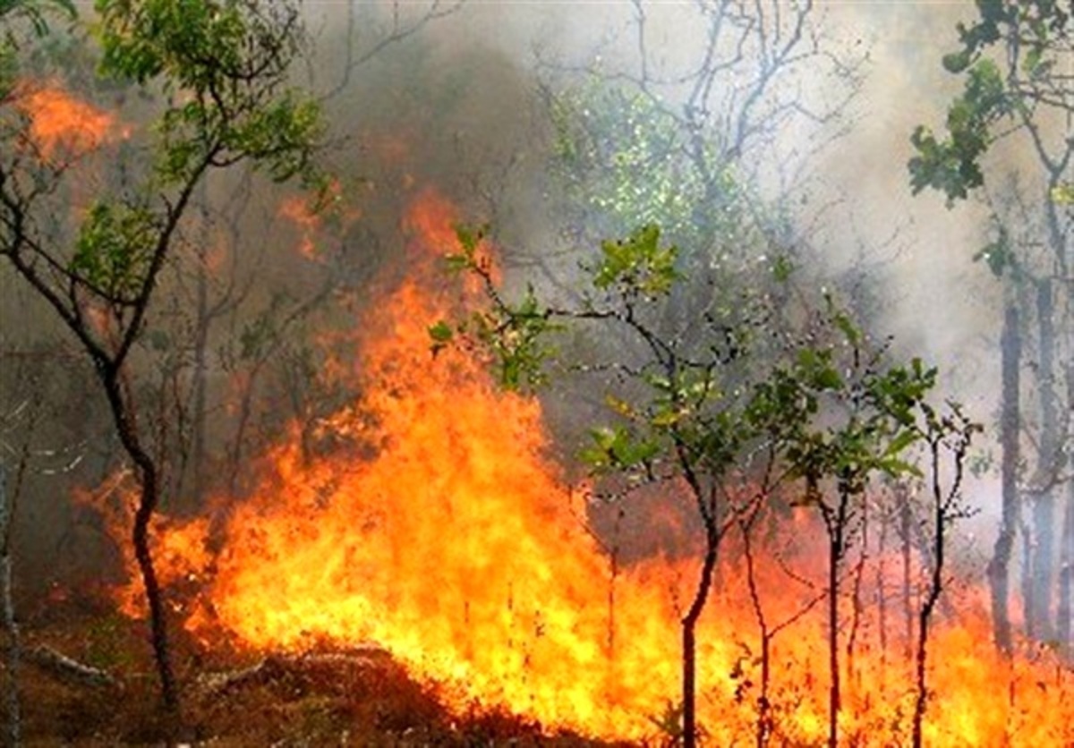 هشدار درباره آتش‌سوزی جنگل‌های مازندران