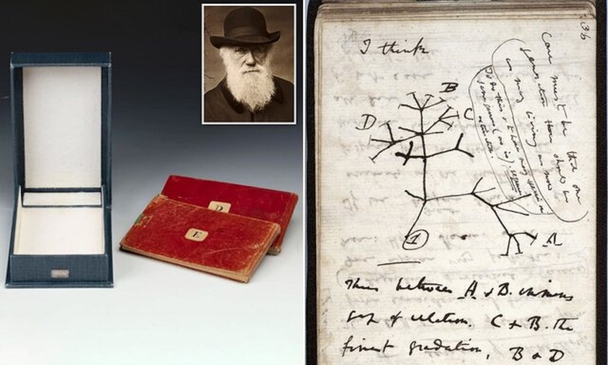 پیدا شدن کتاب‌های سرقت شده داروین در دانشگاه کمبریج