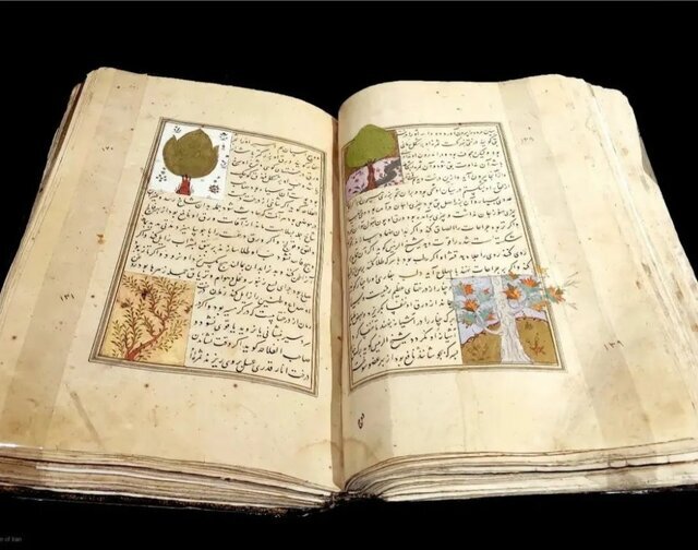 نمایش انار در آثار کهن ایران در موزه ملی