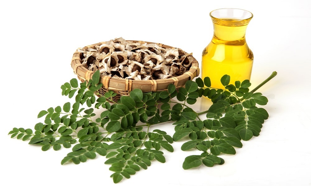 مورینگا؛ گیاهی شگفتی آور