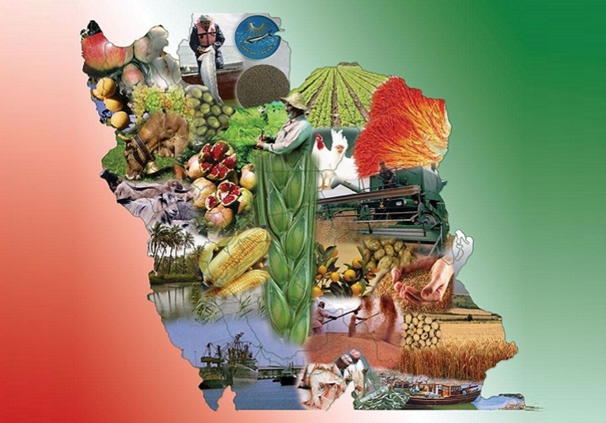 از هنر آشپزی در سینما و تلویزیون تا ديپلماسی خوراكی