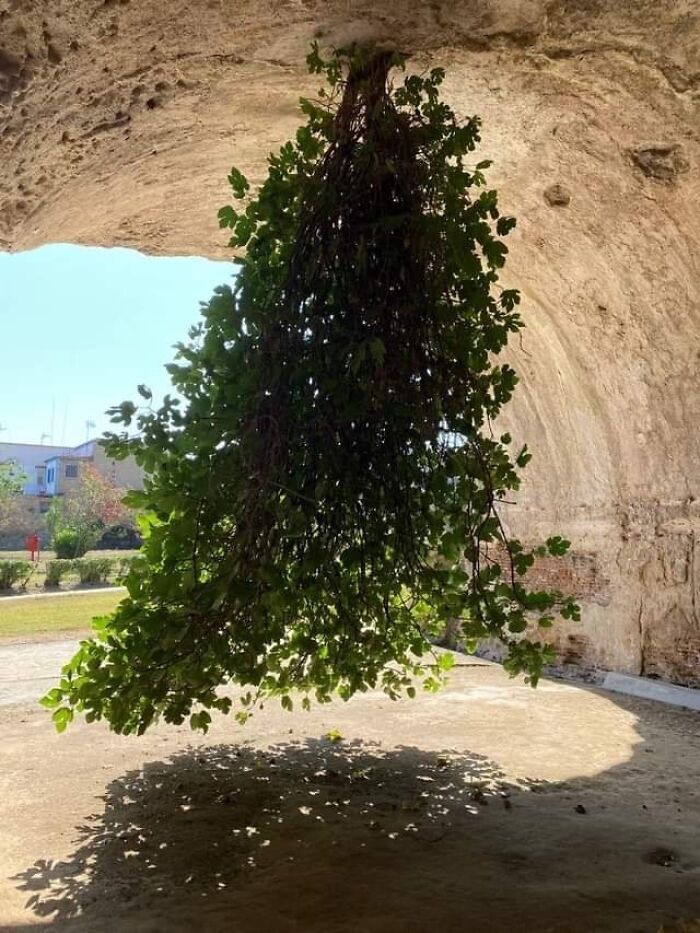چند عکس خاص از طبیعت که اخیرا وایرال شده