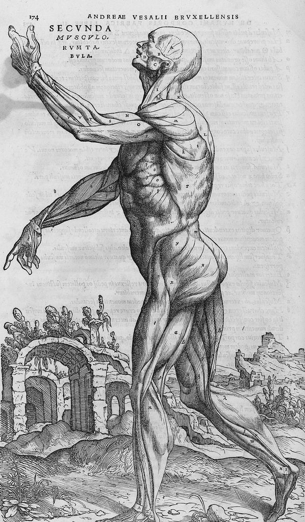 کالبدشناسی مدرن چگونه شکل گرفت؟