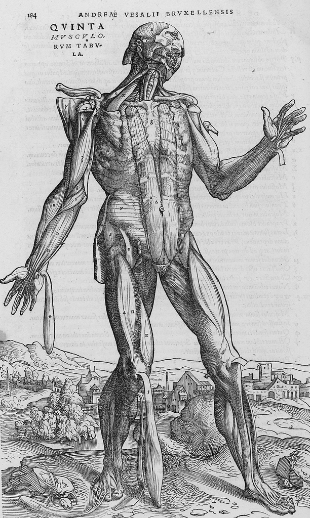 کالبدشناسی مدرن چگونه شکل گرفت؟