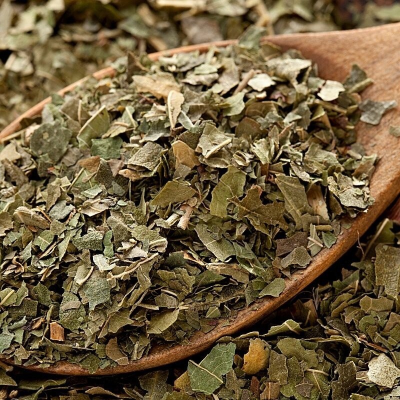 شاه توت؛ از کلسترول تا سرطان