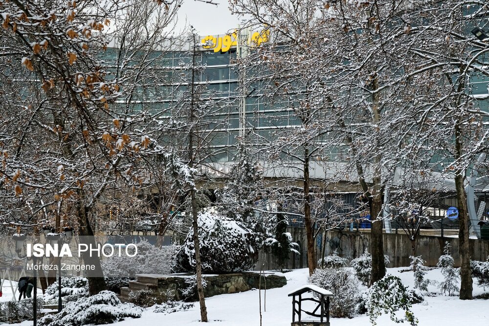 روز نهم جشنواره فجر چهل و یکم در سینما رسانه ؛ فیلم‌ها و حاشیه‌ها (+عکس)