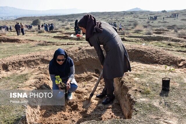 جایگاه ایران در برنامه جهانی کاشت 1 تریلیون درخت تا سال 2030 جایگاه ایران در برنامه جهانی کاشت 1 تریلیون درخت تا سال 2030