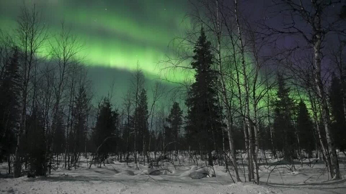 ببینید| نورهای خیره کننده در آسمان فنلاند/ شفق قطبی در زیباترین شکل خودش