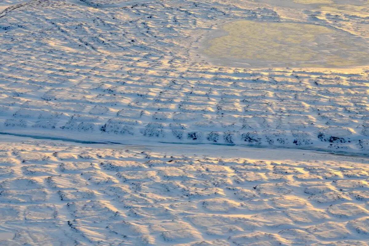 سر برآوردن «ویروس زامبی» از دل خاک منجمد سیبری پس از ۴۸ هزار سال