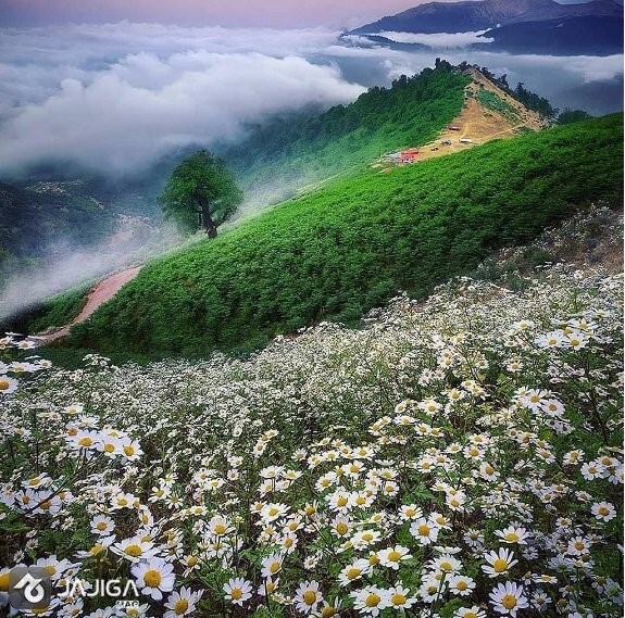 برای اجاره ویلا ، به دنبال مناظر خوب باشید.