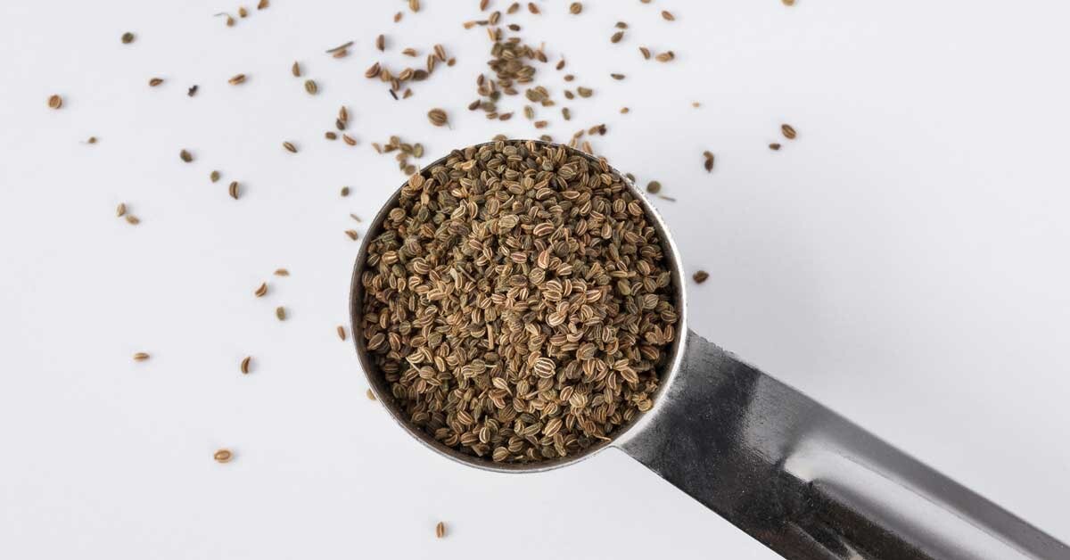 از فواید شگفت انگیز تخم کرفس
