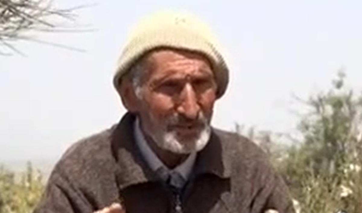 احیای 2000 هکتار جنگل توسط یک مرد 80 ساله در ایران! (فیلم)