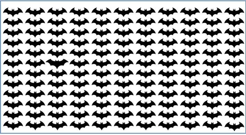 خفاش متفاوت را سریع پیدا کن (معمای تصویری)