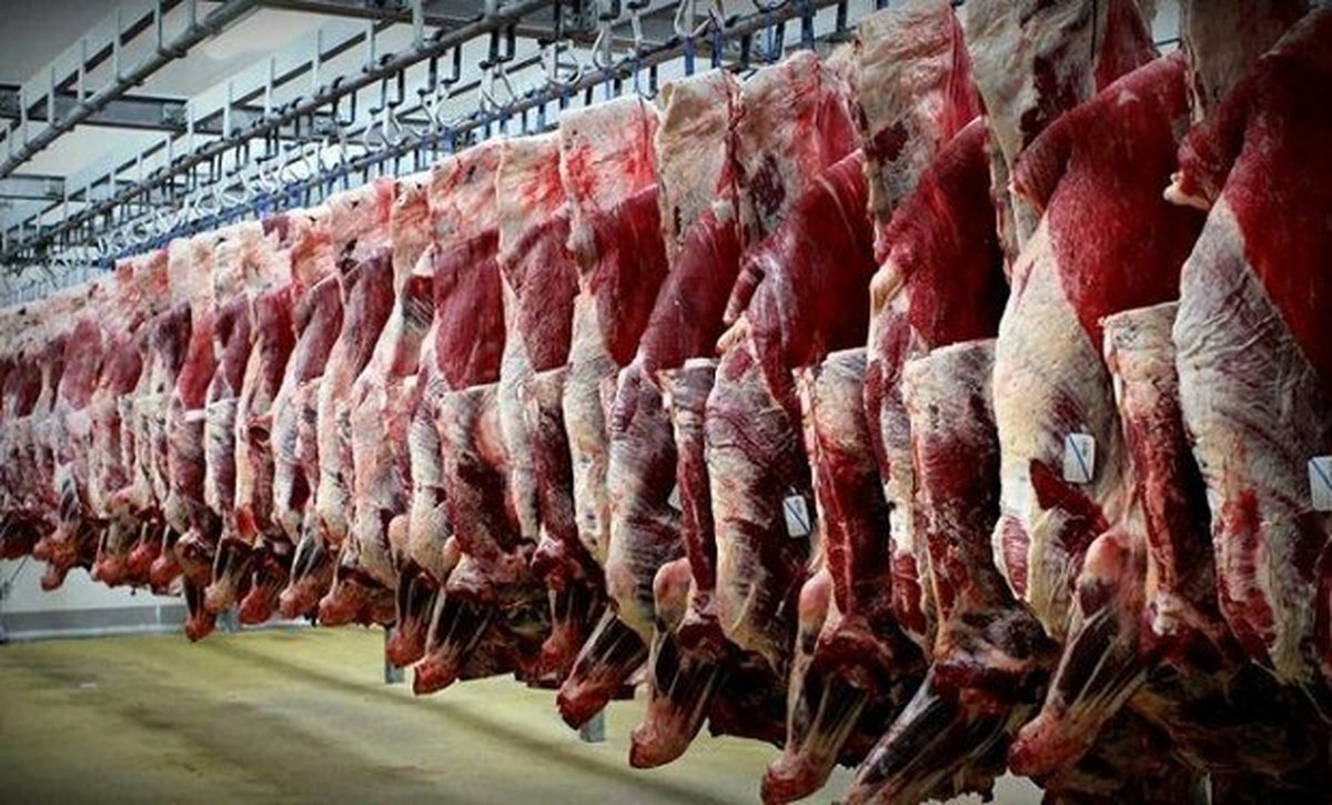 تکذیب واردات گوشت حرام به کشور