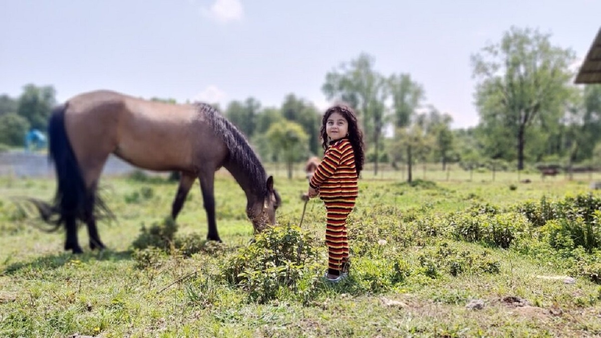 کاسپین اسب اصیل ایرانی در خطر انقراض