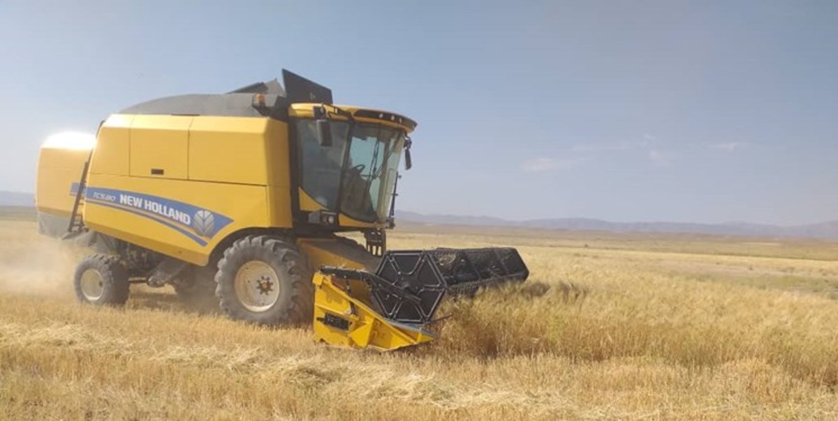 وزیر کشاورزی اوکراین: جهان برای افزایش قیمت گندم به هر تن 700 دلار آماده شود