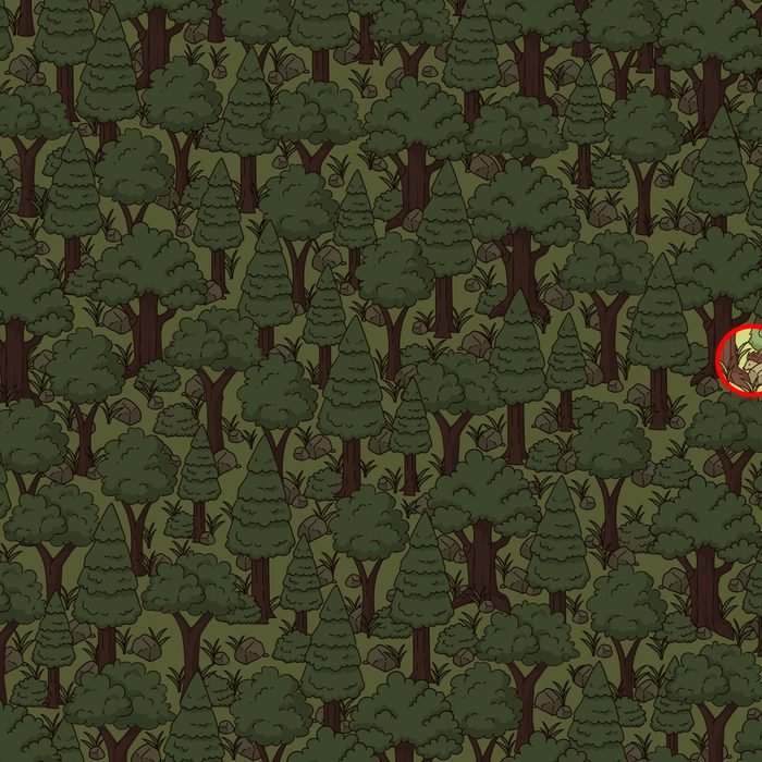 آیا می توانید خارپشت پنهان شده در جنگل را پیدا کنید؟ (تصویر)