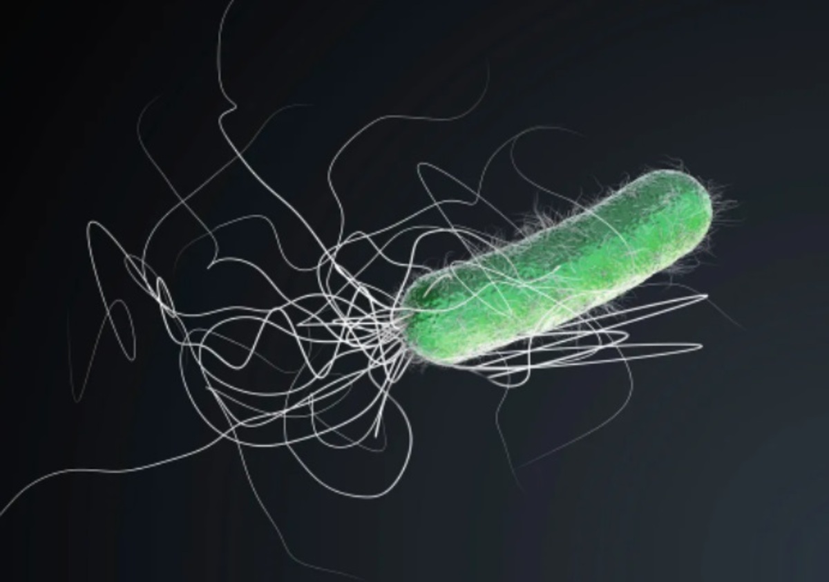 صدای باکتری، ریزترین موجود زنده جهان را بشنوید (فیلم)
