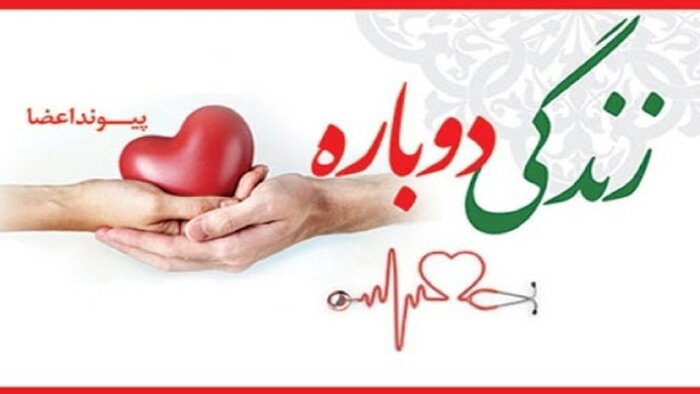 فوت سه هزار نفر در سال به دلیل نرسیدن عضو پیوندی/ ۶ هزار عضو قابل اهدا خاک می&zwnj;شود
